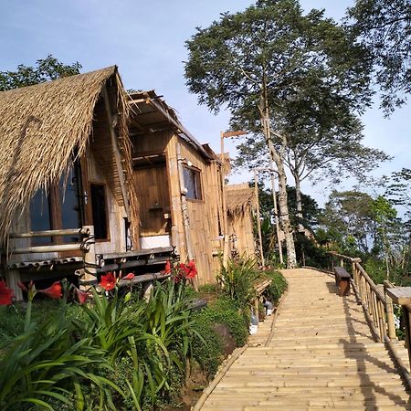 Wanagiri Campsite Gitgit Ngoại thất bức ảnh