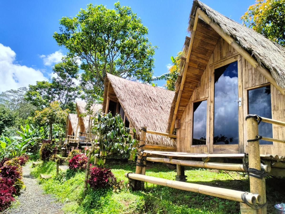 Wanagiri Campsite Gitgit Ngoại thất bức ảnh