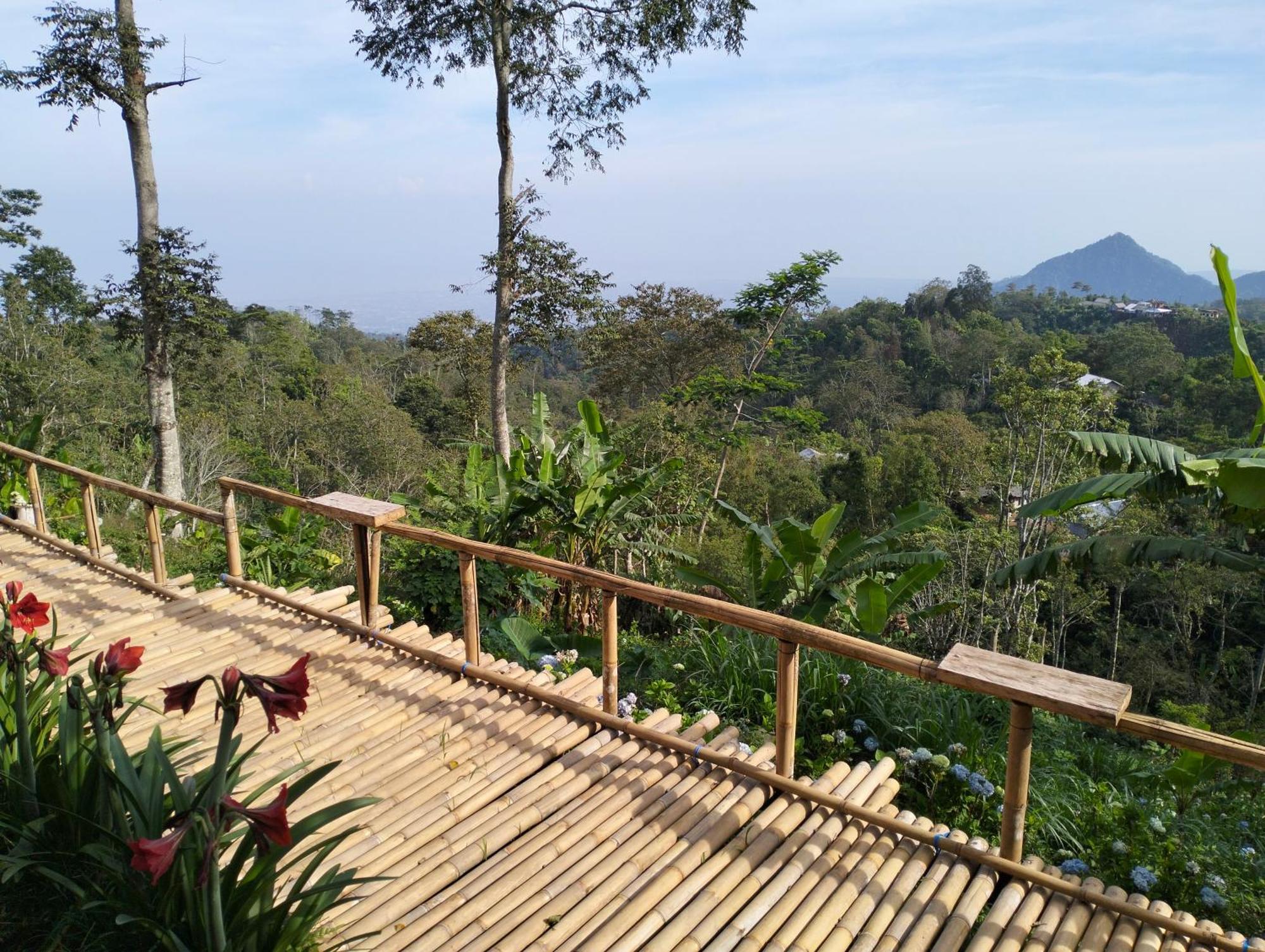 Wanagiri Campsite Gitgit Ngoại thất bức ảnh